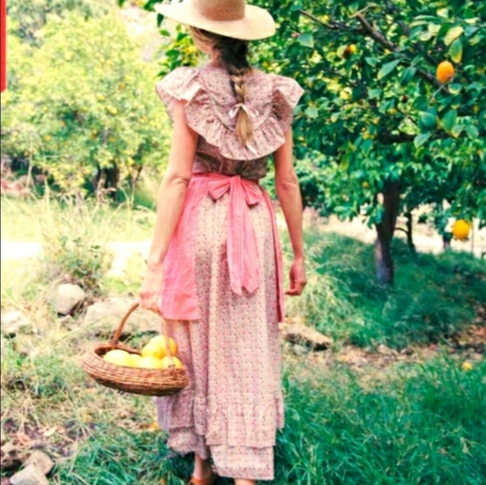 Christy Dawn Collette dress in cherry meadow M